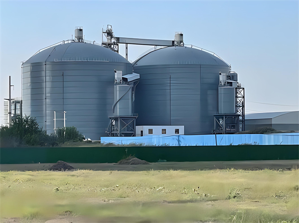 大兴钢板仓建造施工方案详解